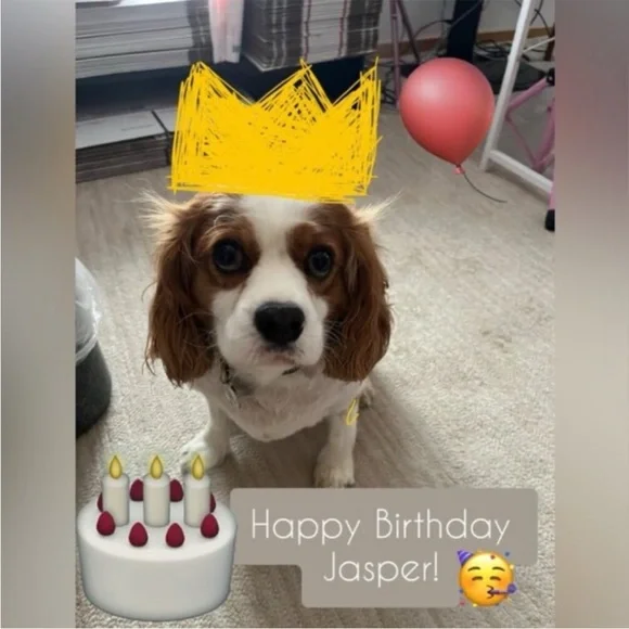 Chevygirl55 is going Live! Wednesday April 8 at 5:30 PM EASTERN - Picture 3 of 3